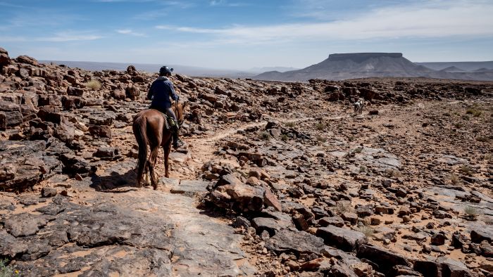 Dunes & oases ride