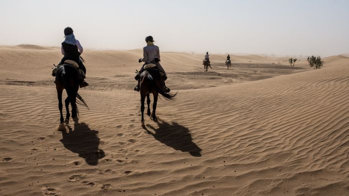 Dunes & oases ride