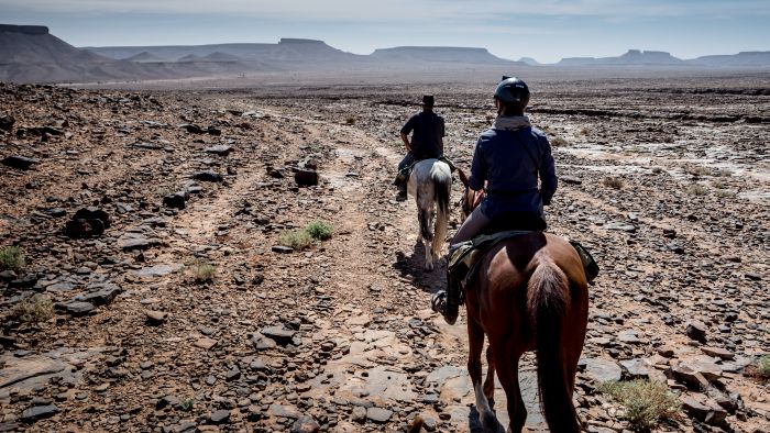 Dunes & oases ride