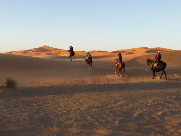 Dunes & oases ride