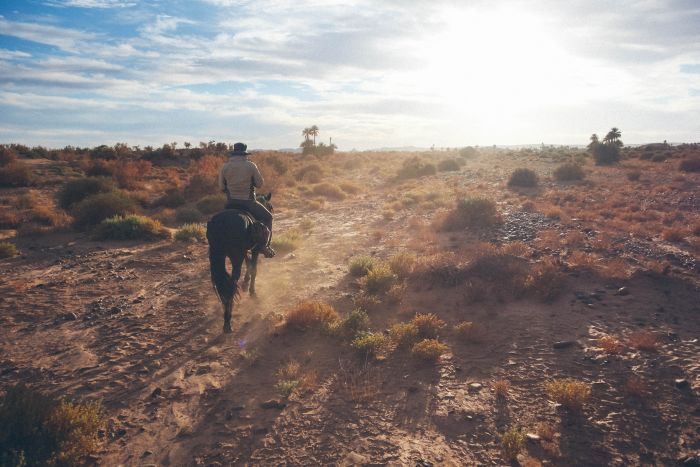 Dunes & oases ride