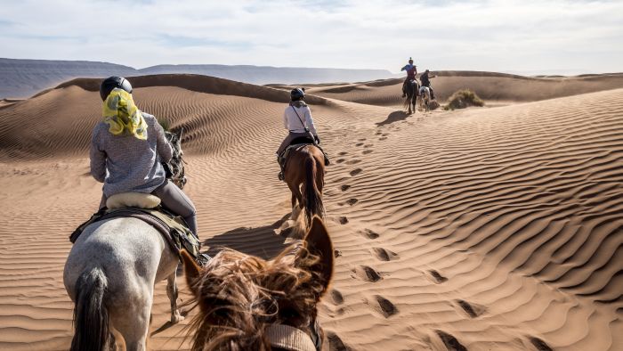 Dunes & oases ride