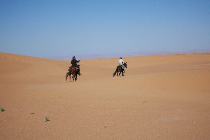 Dunes & oases ride