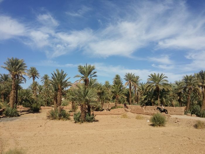 Dunes & oases ride