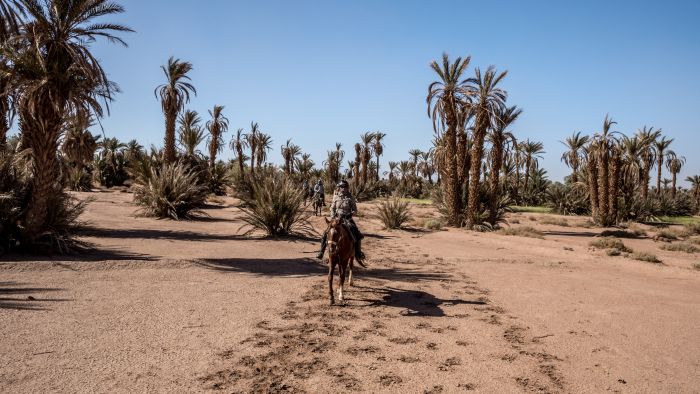 Dunes & oases ride