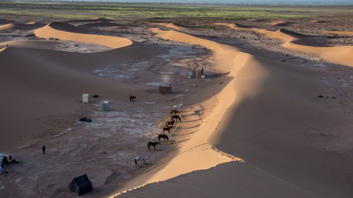 Dunes & oases ride