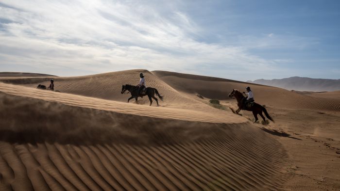 Dunes & oases ride