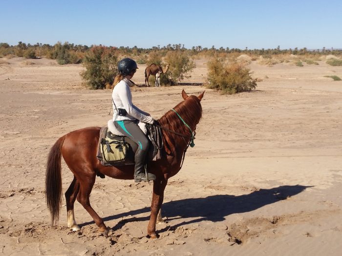 Dunes & oases ride