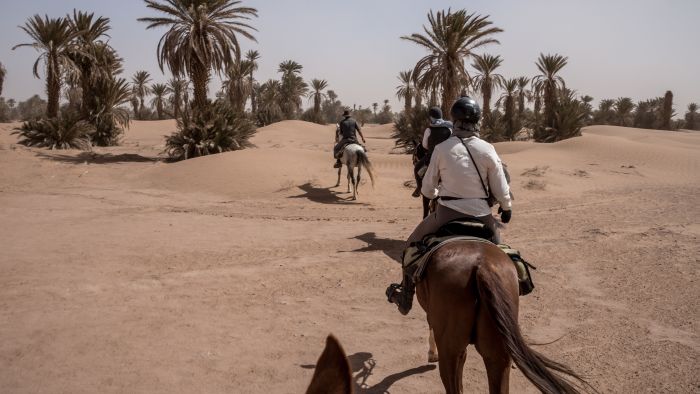 Dunes & oases ride