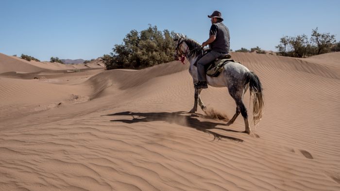 Dunes & oases ride