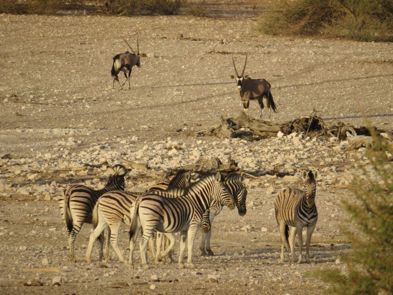 Adventure lodge in the Khomas Highlands