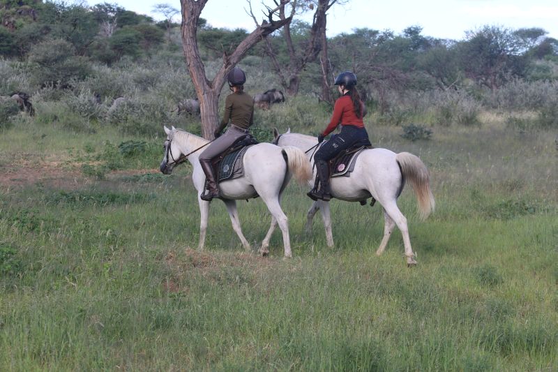 Adventure lodge in the Khomas Highlands