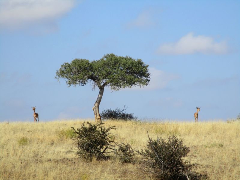 Adventure lodge in the Khomas Highlands