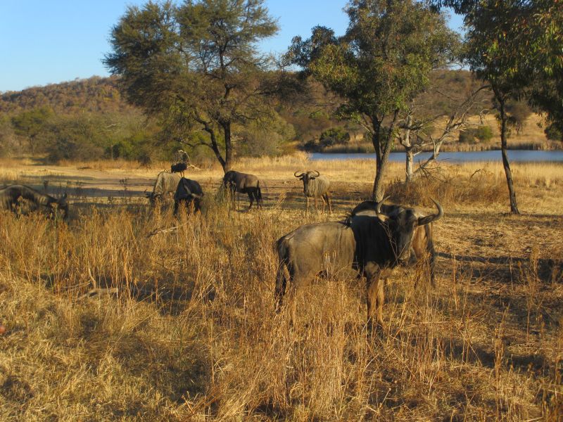 Adventure lodge in the Khomas Highlands
