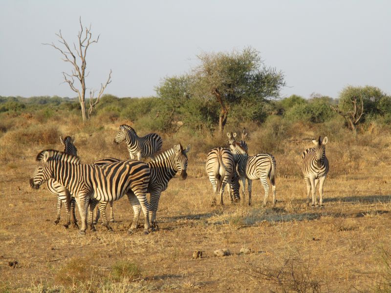 Adventure lodge in the Khomas Highlands
