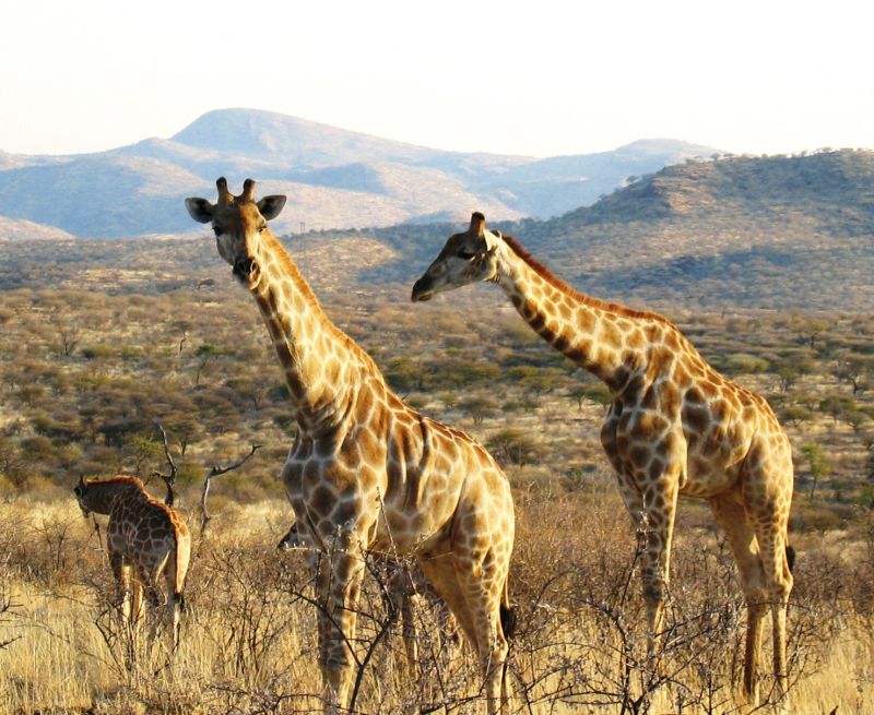 Adventure lodge in the Khomas Highlands