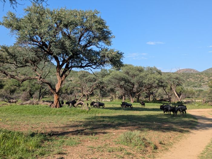 Adventure lodge in the Khomas Highlands