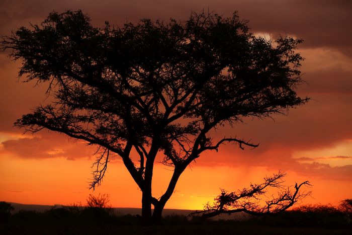 Waterberg Big Five Safari