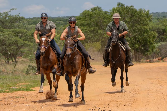 Waterberg Big Five Safari