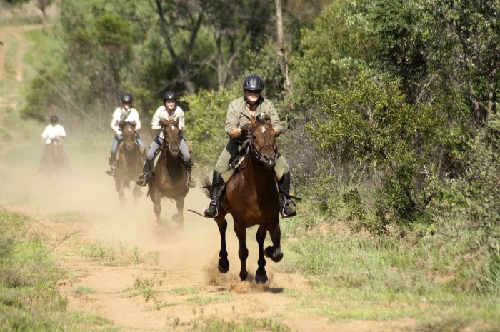Lodge to Lodge Safari