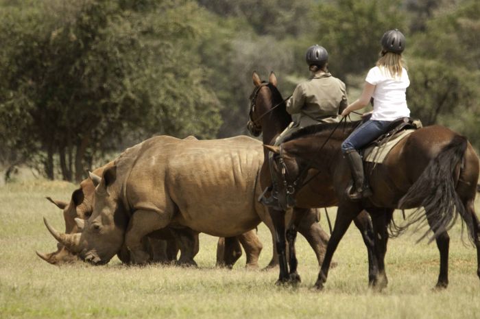 Lodge to Lodge Safari