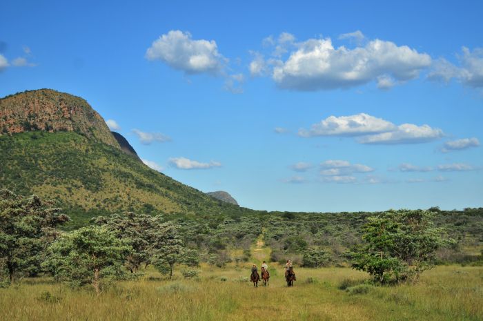 Lodge to Lodge Safari