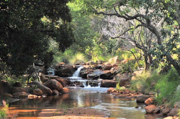 Lodge to Lodge Safari