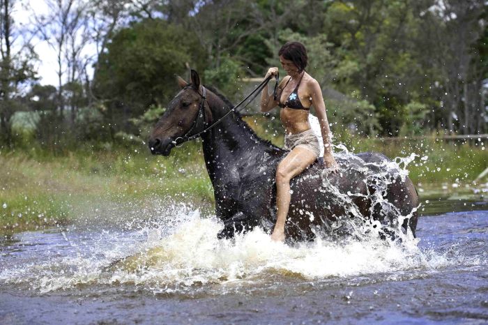 Lodge to Lodge Safari