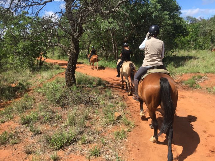 Lodge to Lodge Safari