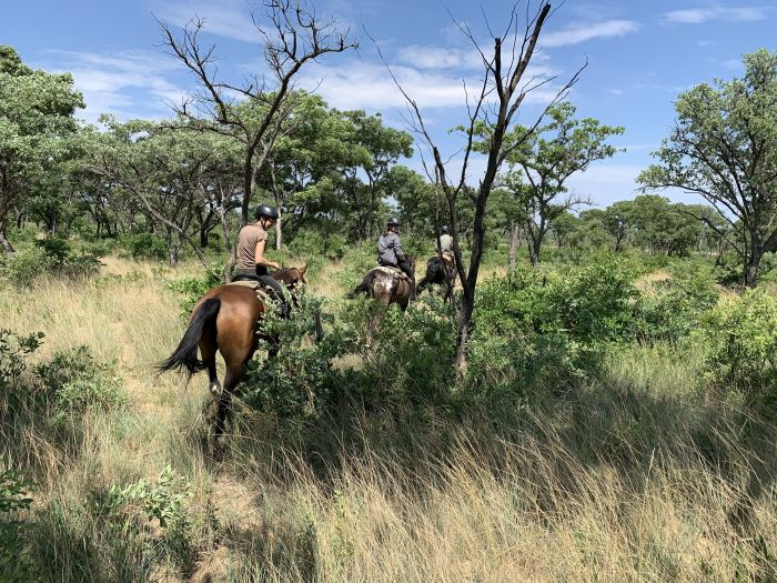 Lodge to Lodge Safari
