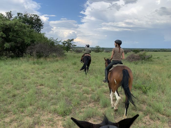 Lodge to Lodge Safari