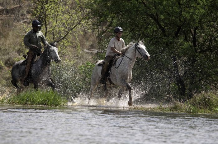 Lodge to Lodge Safari