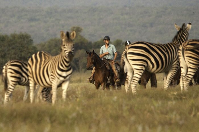 Lodge to Lodge Safari