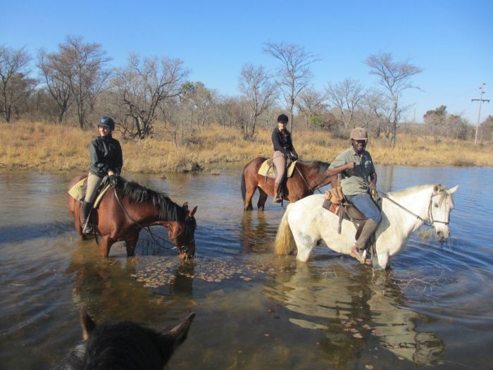 Lodge to Lodge Safari