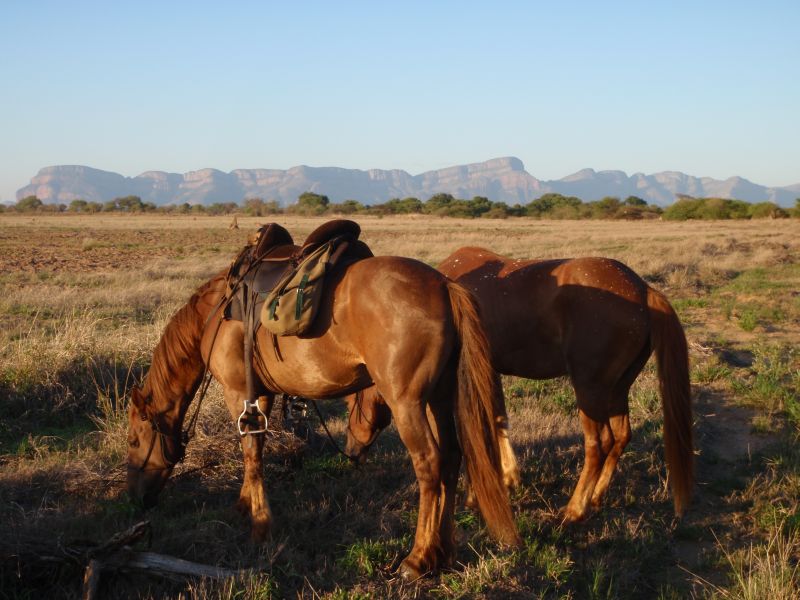 Limpopo Adventure Trail