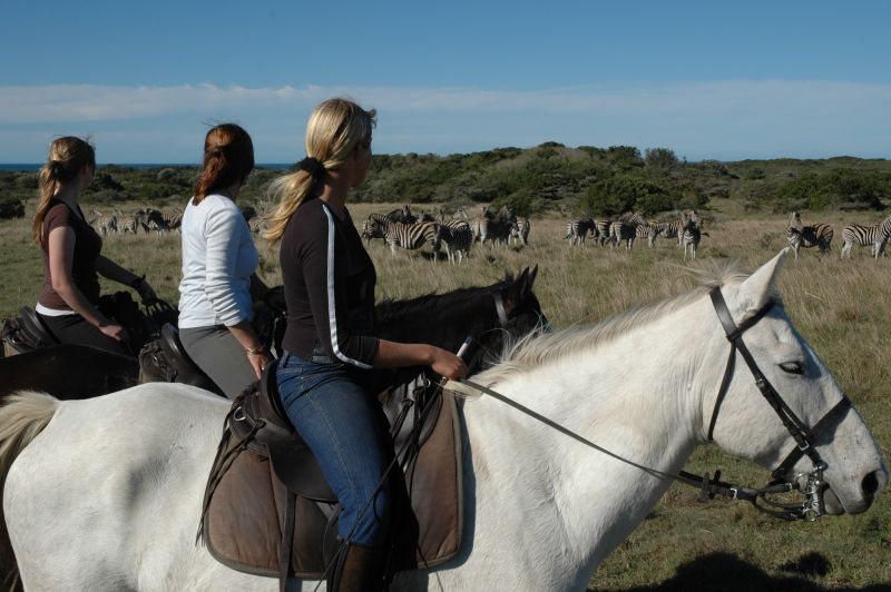 Limpopo Adventure Trail