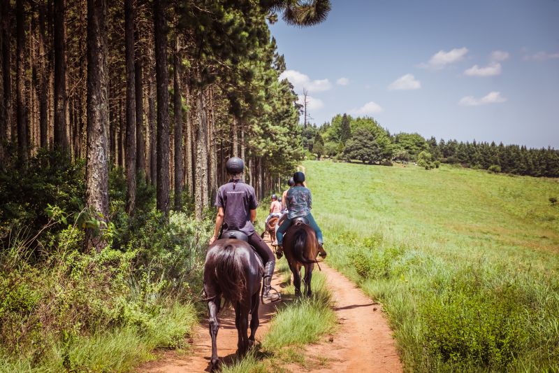 Limpopo Adventure Trail