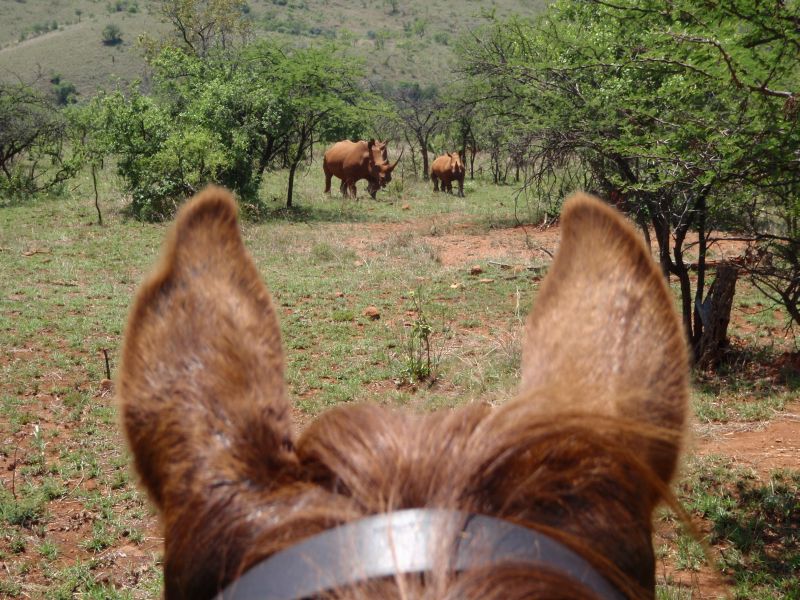 Limpopo Adventure Trail