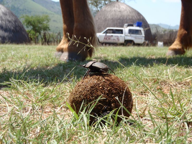 Limpopo Adventure Trail