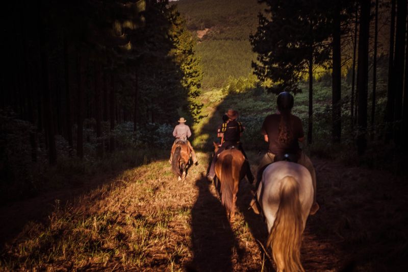 Limpopo Adventure Trail
