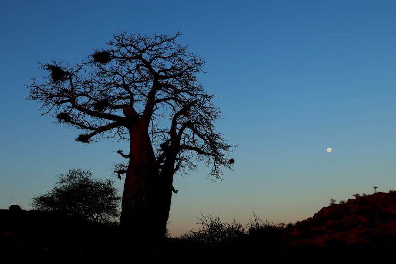 Limpopo Adventure Trail