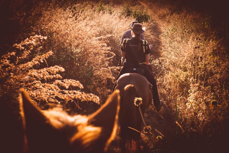 Limpopo Adventure Trail
