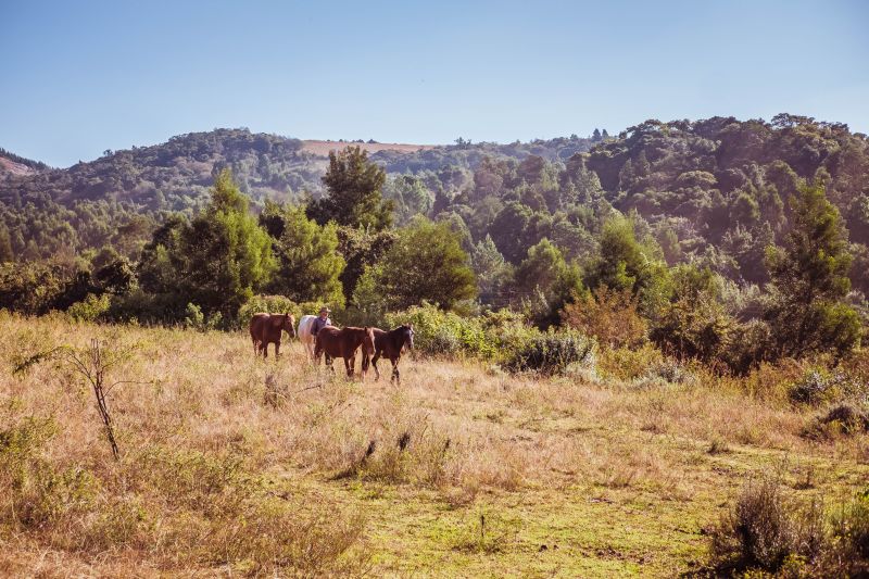 Limpopo Adventure Trail