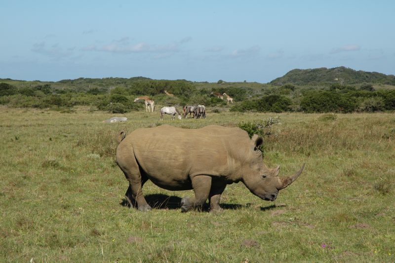 Limpopo Adventure Trail