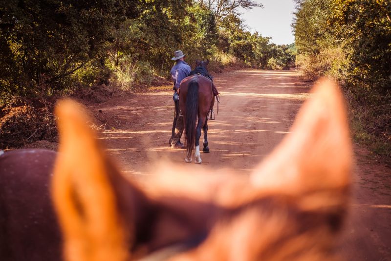 Limpopo Adventure Trail