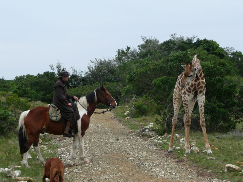 Limpopo Adventure Trail