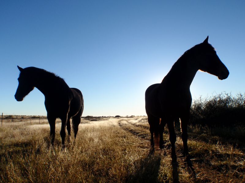 Limpopo Adventure Trail