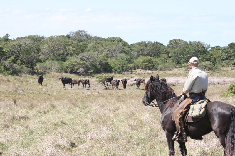 Limpopo Adventure Trail