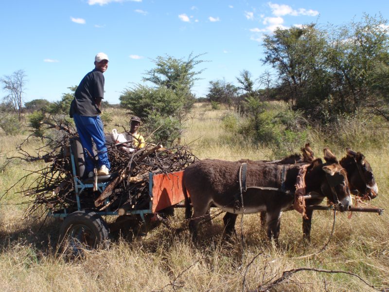 Limpopo Adventure Trail