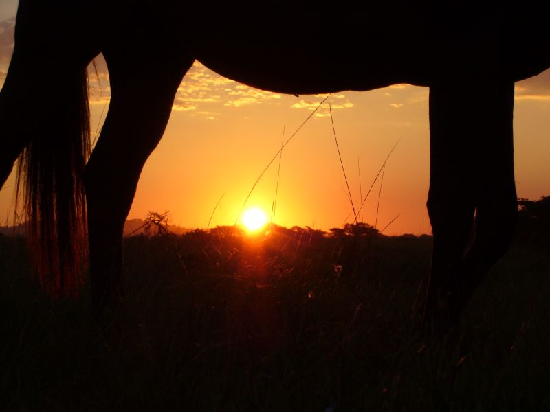 Limpopo Adventure Trail